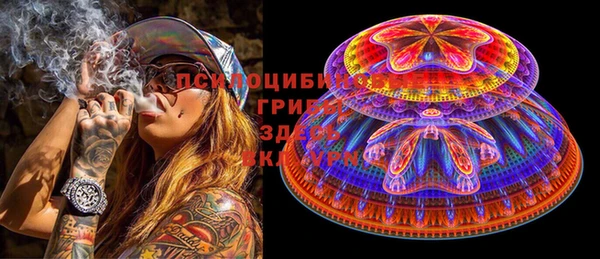 spice Белокуриха