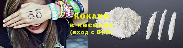 прущие грибы Пересвет
