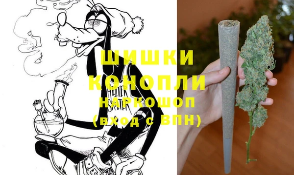 прущие грибы Пересвет