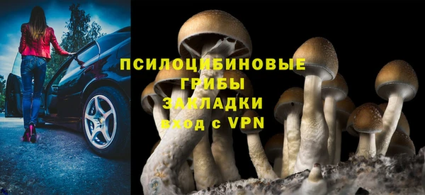 spice Белокуриха