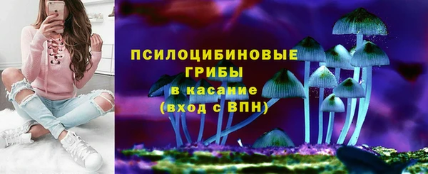 молекула духа Белоозёрский