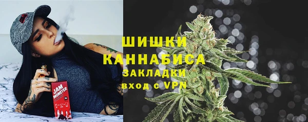 spice Белокуриха
