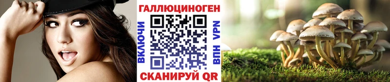 Галлюциногенные грибы GOLDEN TEACHER  блэк спрут ССЫЛКА  Курильск 